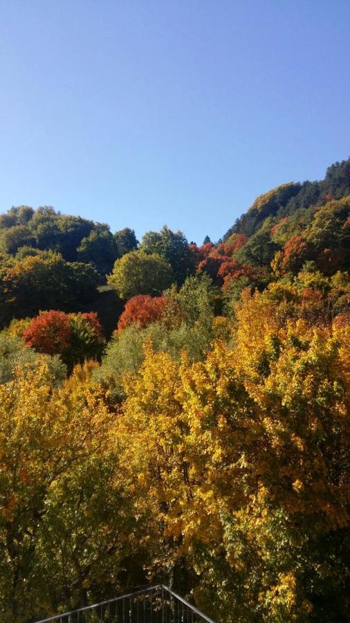 Bed & Breakfast Il Ghiro